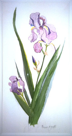 The Stream-Landscape.