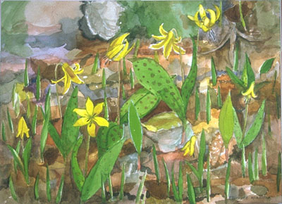 The Stream-Landscape.